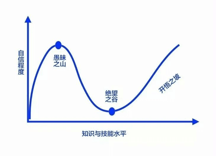 台大113-2修課心得